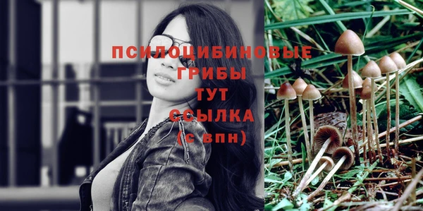 ECSTASY Армянск