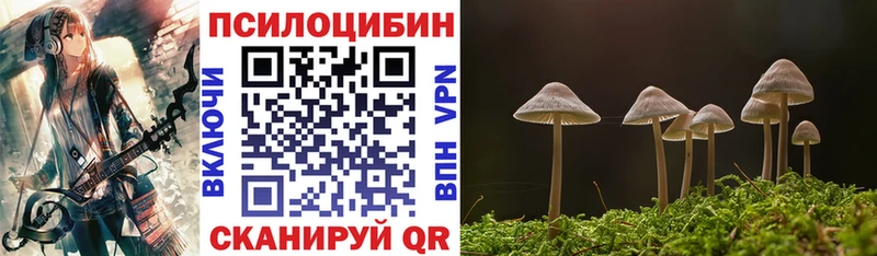 Купить  Яхрома  Псилоцибиновые грибы Psilocybe 